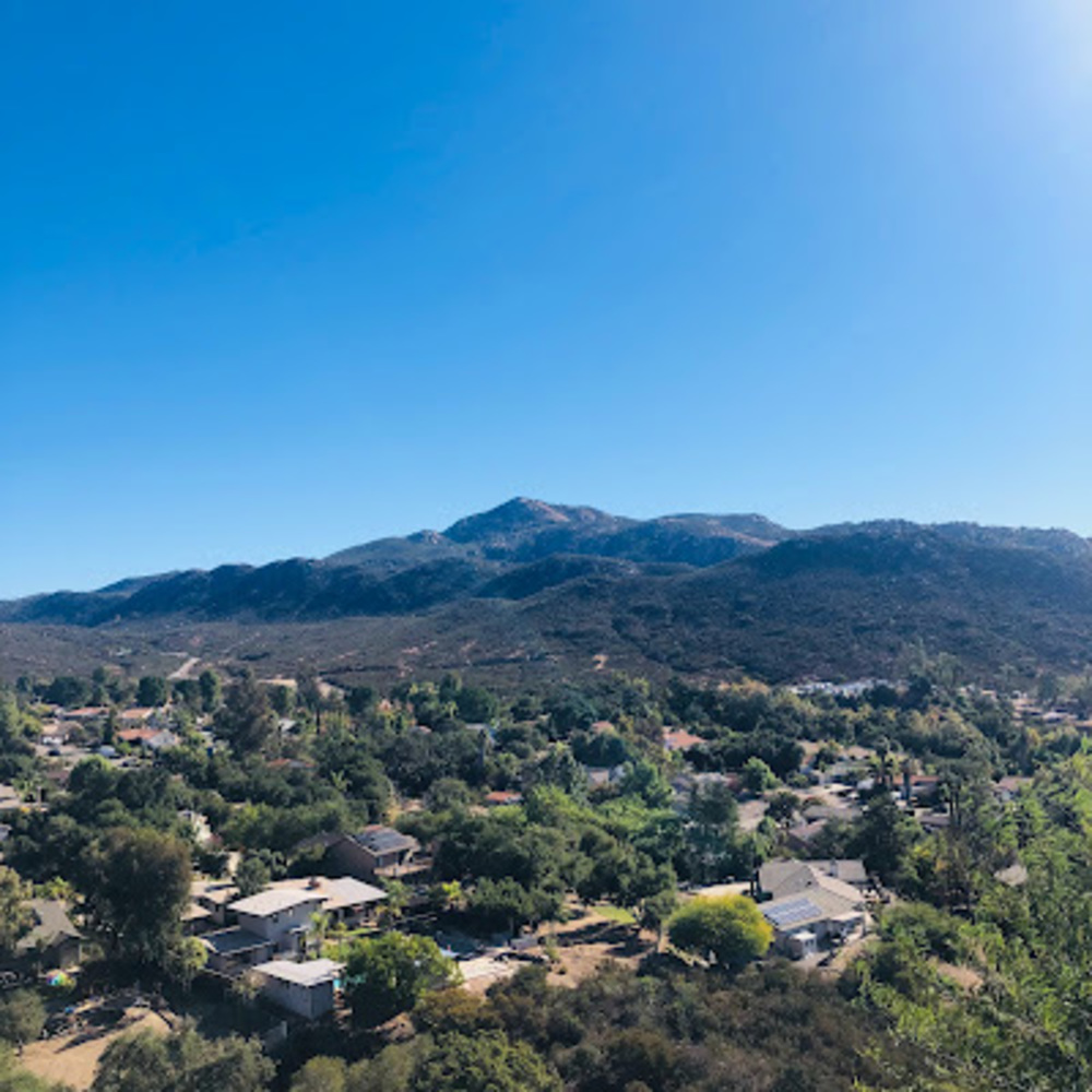 Meet your Posher, Brenda